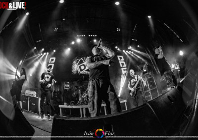 dsc_0115-copia
