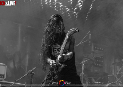 dsc_0246-copia