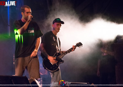 dsc_0413-copia