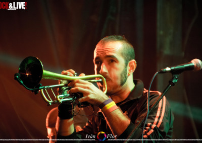 dsc_0496-copia