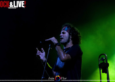 dsc_0203-copia