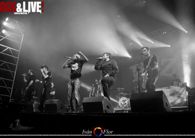 dsc_0296-copia