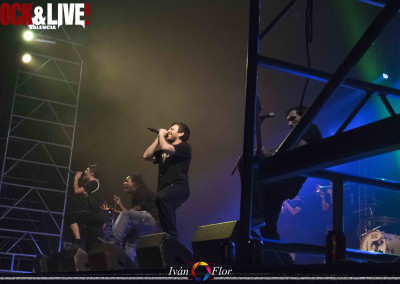 dsc_0532-copia